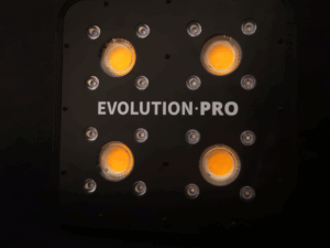 APOLLO EVOLUTION PRO 4 - 150W