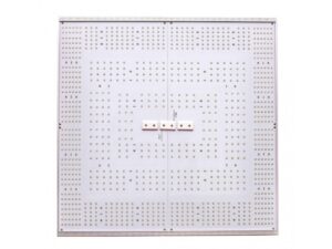 quantum square c320 delight