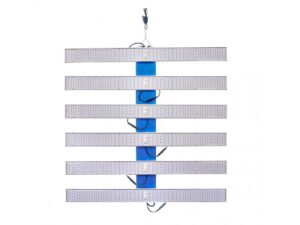 quantum square l720 delight